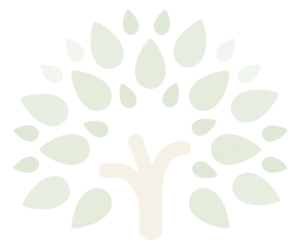 2020 End of Year Review